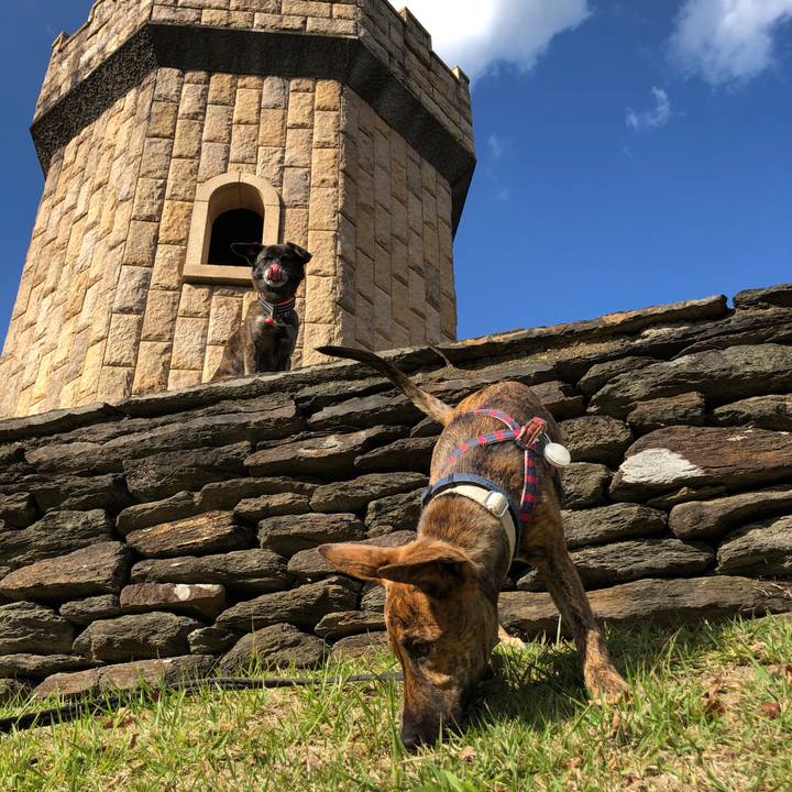 Db21144e e64d 4daf b2e4 74a84c605f27 1573821776107