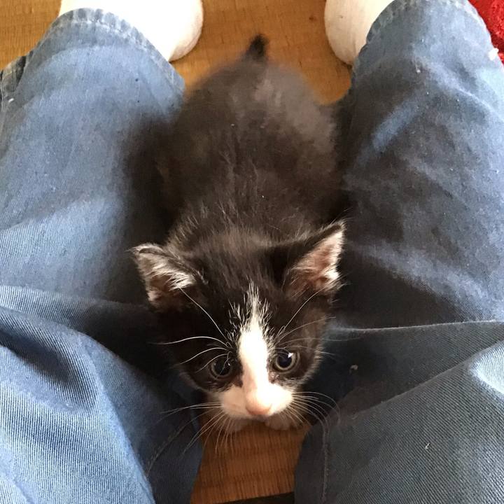 Db211641 5e70 4962 b224 251c0b6eb4d1 1623119775178