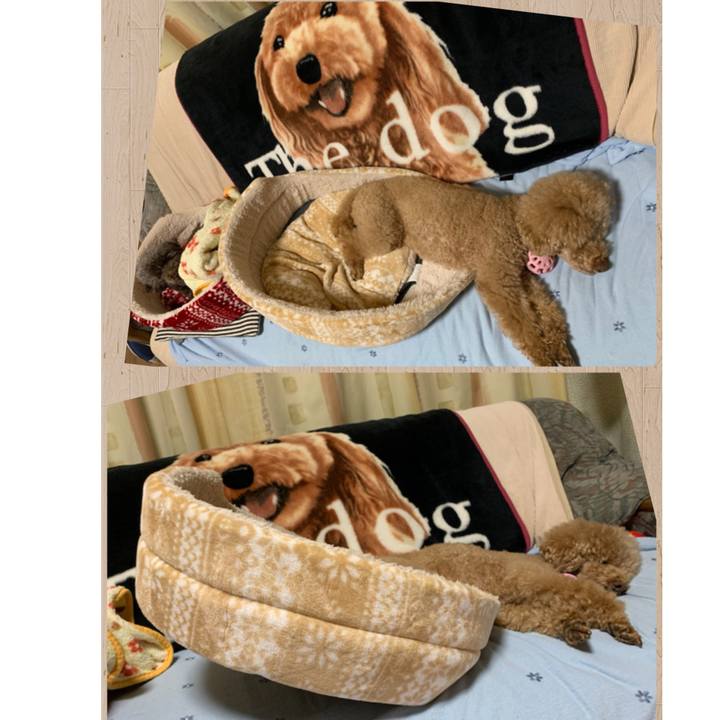 Db21887a fda1 4814 aafe bc707a4f8fe9 1572358764521