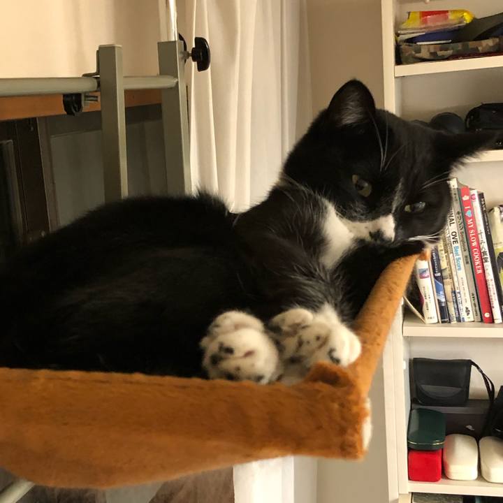 Db21b0b6 0000 4506 b793 98d9fab0772a 1576660118222