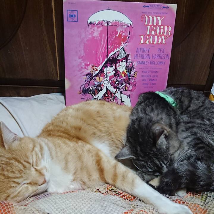 Db21e5a7 13fb 4422 976d 29df4b836a73 1587042946589