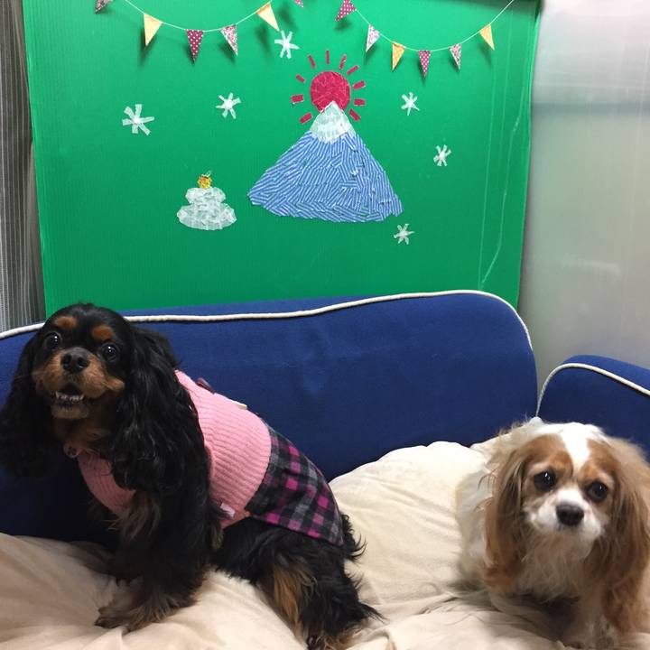 Db21f105 4535 45f6 a65b 6fa453f90955 1521444711221