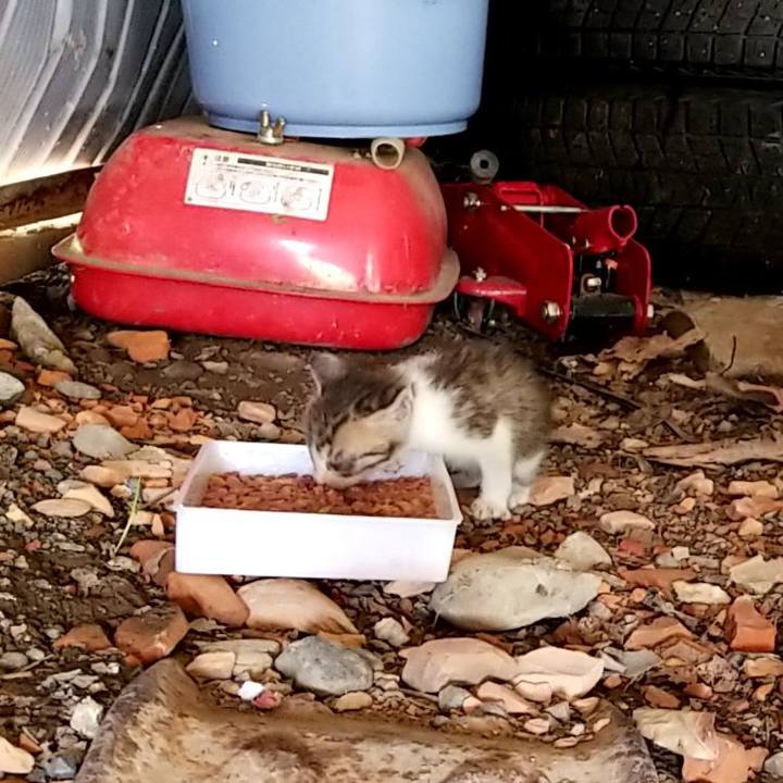 Db21f9fd f274 41d4 a0d5 9162eb5ad1b6 1567471375096