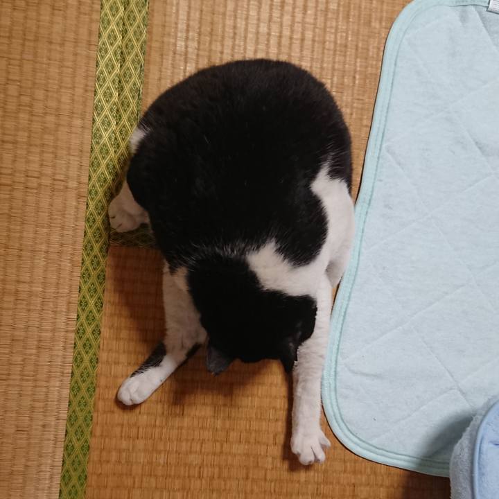 Db220829 92ce 4dba 8528 a77d3134bb5e 1558583813461