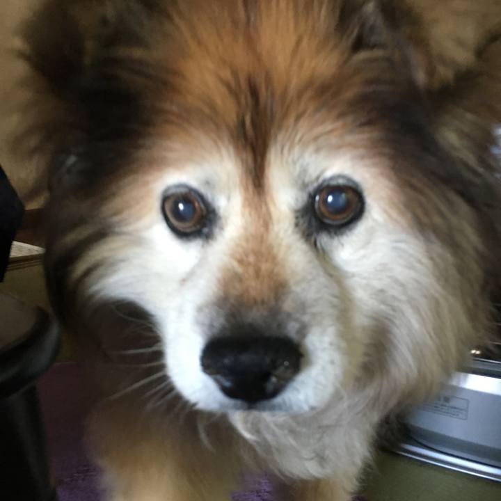 Db22271b 8f4c 4950 8bd2 522ad876478d 1582049001103