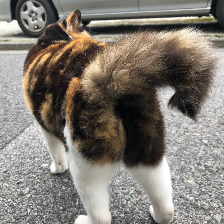 Db22429e cb6e 4df4 bb9f 8f3a97eef3e8 1620573968648