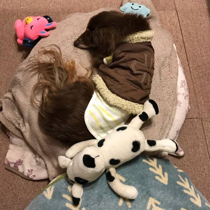 Db227d8d 4593 499c 8930 f5a4551a0d4b 1520598155324