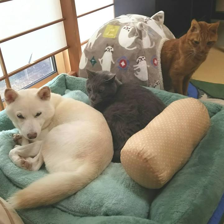 Db227eb5 f5b2 4e40 be21 d140ef67c538 1605680480332