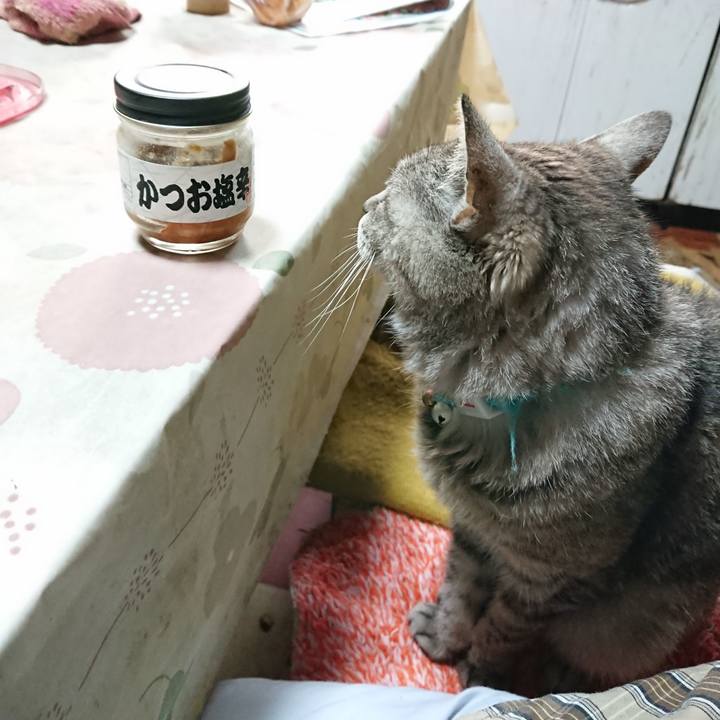 Db229bc8 8492 4279 a6ab f8a308e2f760 1570229207825