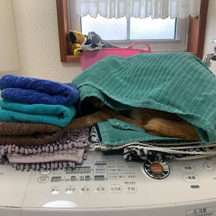 Db22ad6b d8a2 4abc 8713 d7fa7517c306 1588715803238