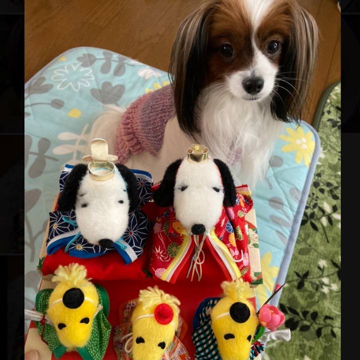 Db22dc5d db20 4b6d bb31 7984009e3901 1645489784763