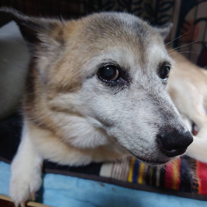 Db22ebbc 42bc 4718 b359 93ffc77c317f 1750860915415