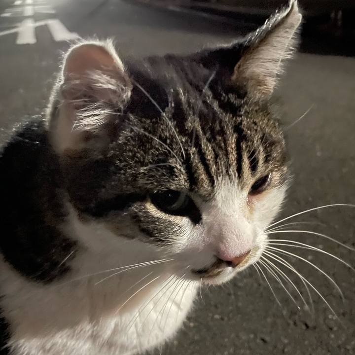 Db22ec90 4feb 416b a9c8 8e667f8cc433 1674213702180