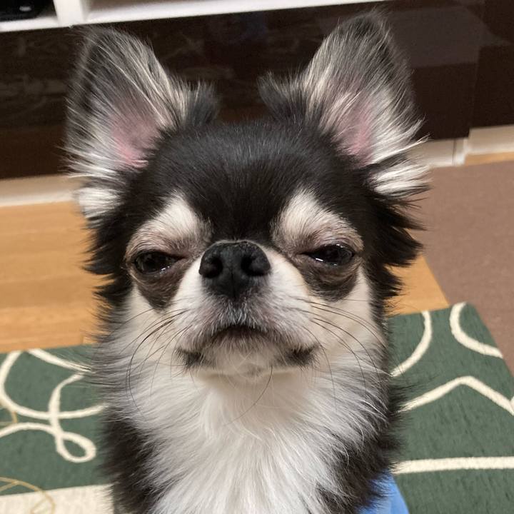 Db2344e8 b87d 437d 8f7b b1e80dcfdec0 1647093133334