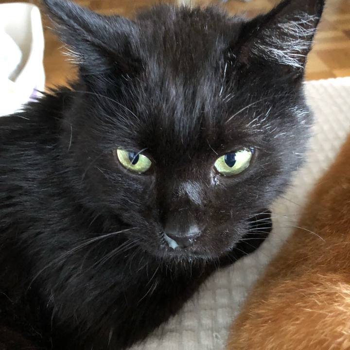 Db235059 0072 49c3 addc 29bb45fb525a 1628577741161