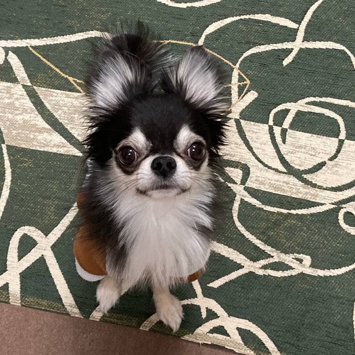 Db235566 bce7 407d 94db 7e8003302242 1643463753531