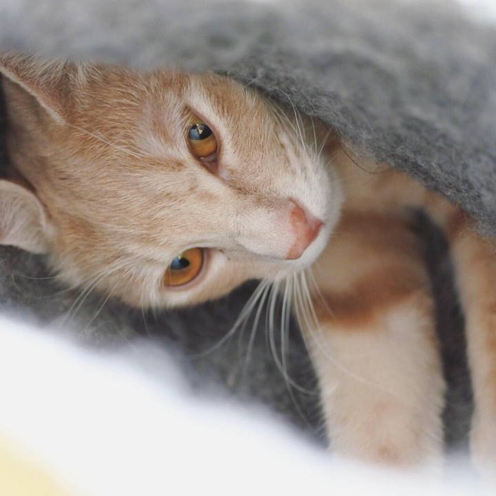 Db23b52c bb06 4d20 b868 54fd394ab78d 1558958930294