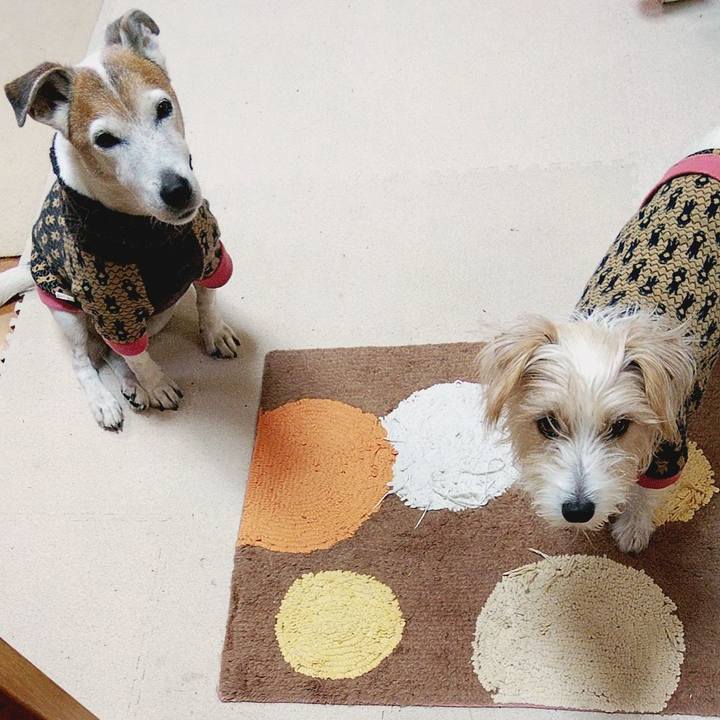 Db23bed3 d9dd 4794 847e 9b123fecf067 1576103666848