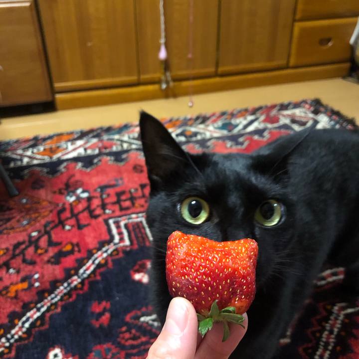 Db23c4b5 e58f 4687 93c4 e99299ec774f 1586002181588