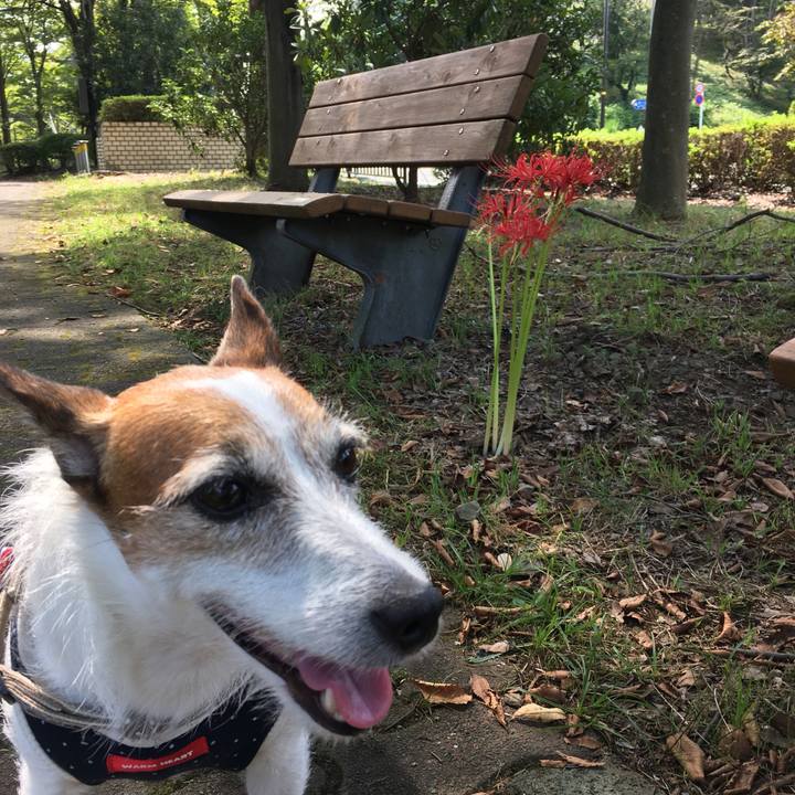 Db23ce43 ae5b 456c af68 8b547c2e1d08 1600903924735