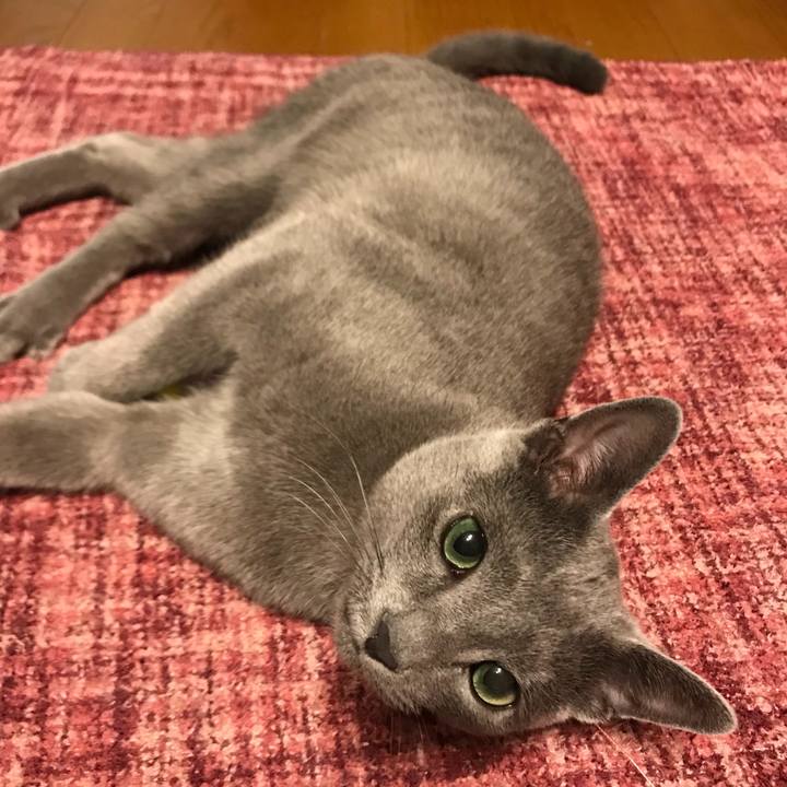 Db23d328 a1db 4187 b069 6689526a942e 1575959598411