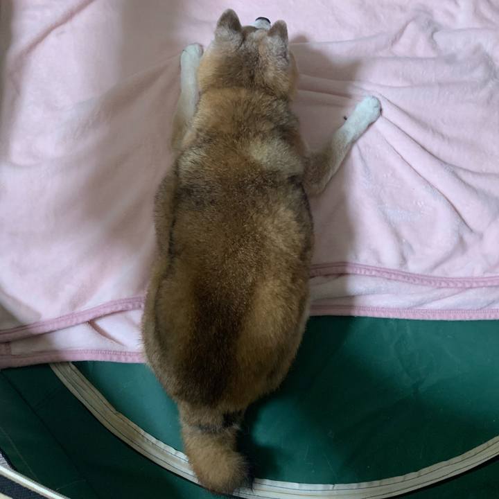 Db23eb6b d8a6 4c89 9678 71217f380b69 1690120393066