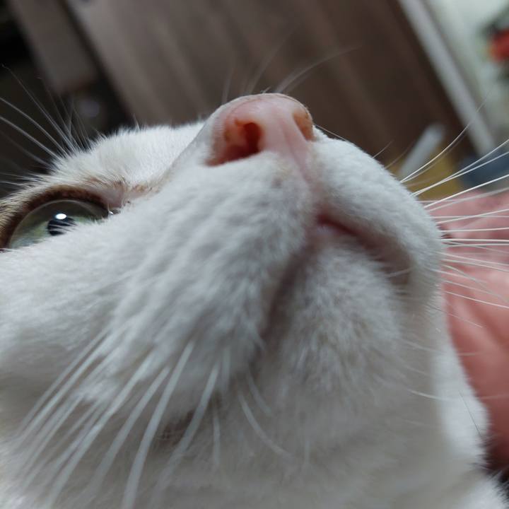 Db23f5e1 0ea4 4397 ab09 0ba79f7c772c 1665921856938