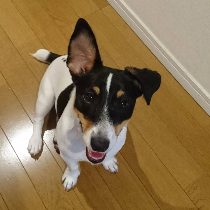 Db2406b4 e455 456d 9f5c 8b25aecb1797 1528756532043