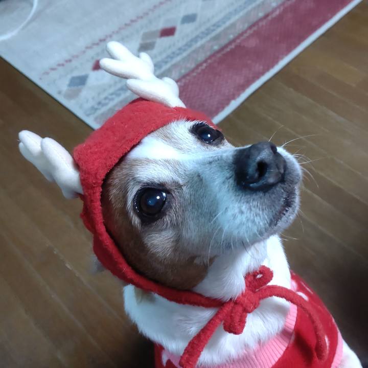 Db241e3e fd74 449c b332 de74348f9265 1766581645918