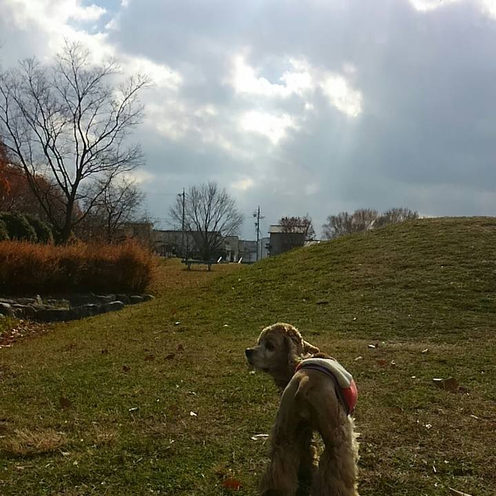 Db246bd6 00db 4ff6 bc67 12293ff04c5a 1512966115009