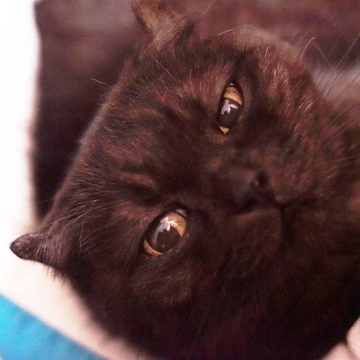 Db2499ad 09cc 4fb9 a3c2 c620cf8d187d 1569419789044