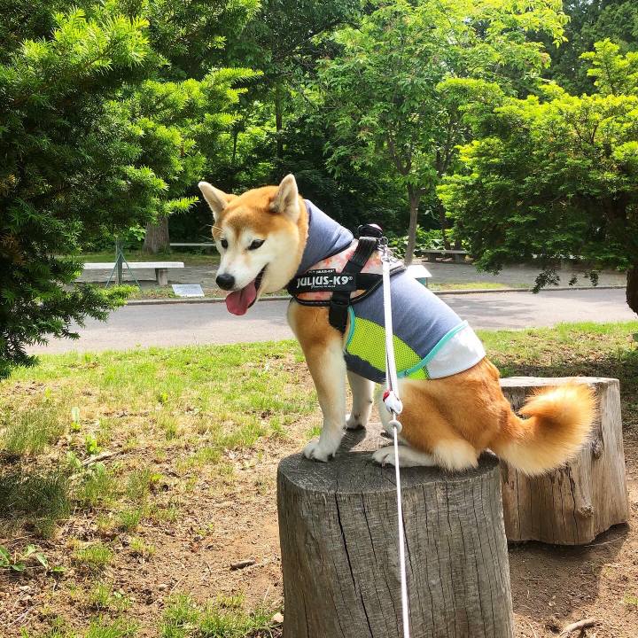 Db24bf85 9b40 4454 9040 811c199cfe3b 1591757320105