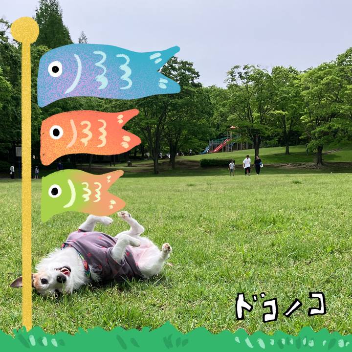 Db24d258 4226 4699 8479 982c7fb700bf 1714886953216