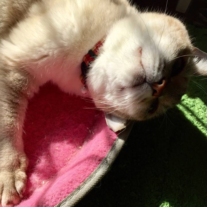 Db24e6f3 bc9e 4d3e b670 bfdbd10f2e4a 1574223433539