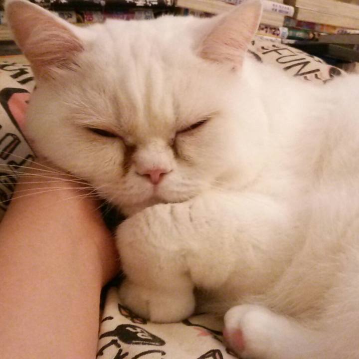 Db24fe0b a405 4603 a499 edff4456c99d 1510490652163