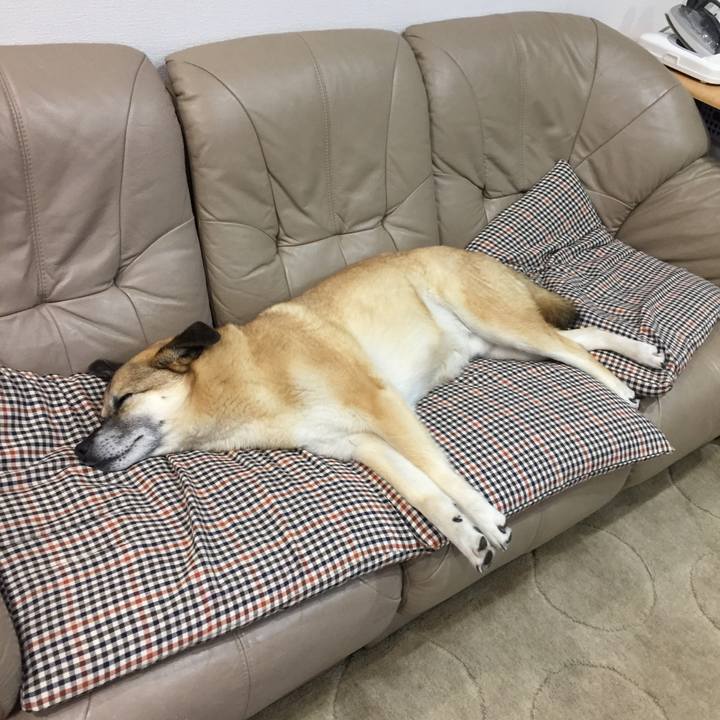 Db251238 5ea4 4481 8944 df8a75721532 1522758852357