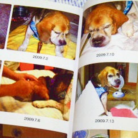 Db2512a6 8a3c 4be8 b965 79bcc5f6f48f 1628803497996