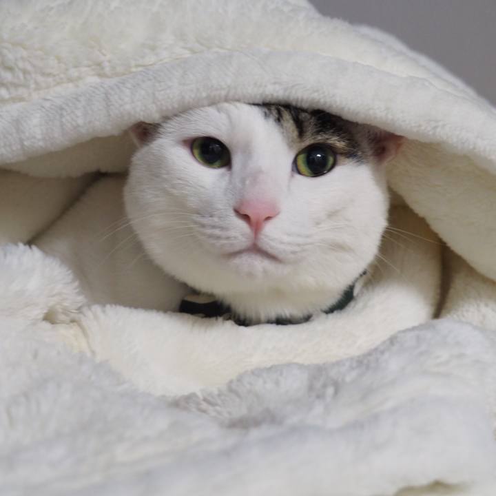 Db252101 f2b7 4b0e b367 2cf3a161747d 1520163000745