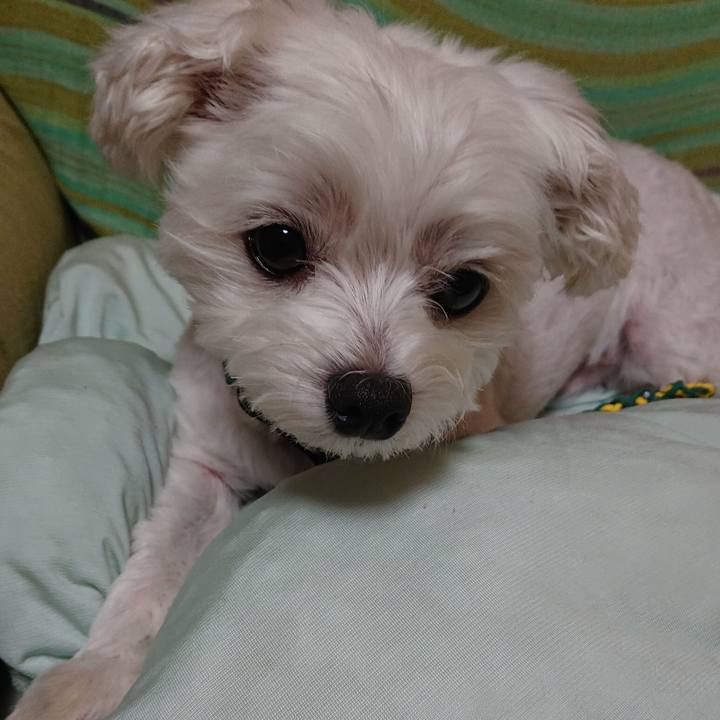 Db255b43 e310 4753 95a5 54aed77a80f7 1533988595120