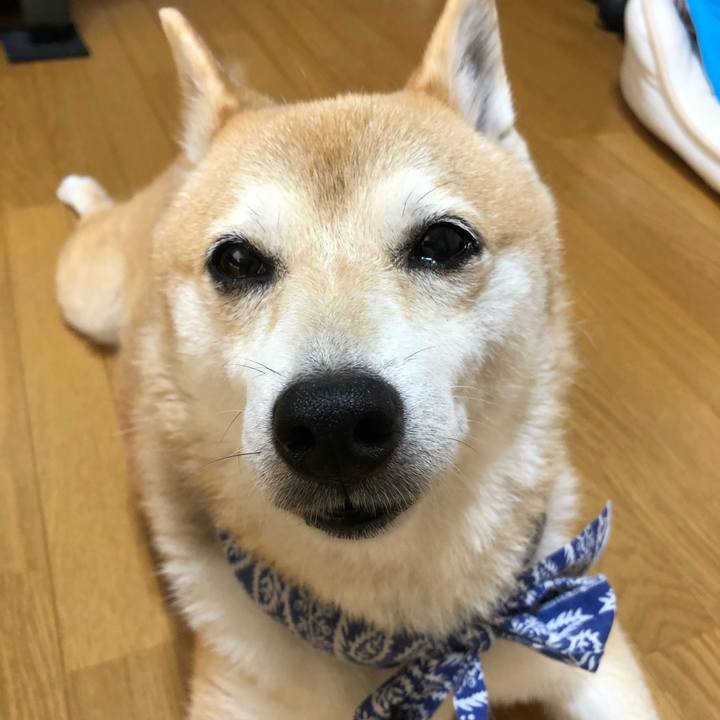 Db256399 64f1 4661 9660 83c9ec0fefd8 1598840836362