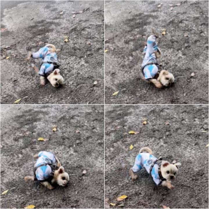 Db259033 3247 46c7 9da7 342cfd9c27f6 1593837314162