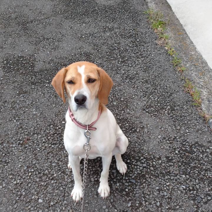 Db25a33f bb2e 45dd 995c dae4bc4661e9 1593062436297