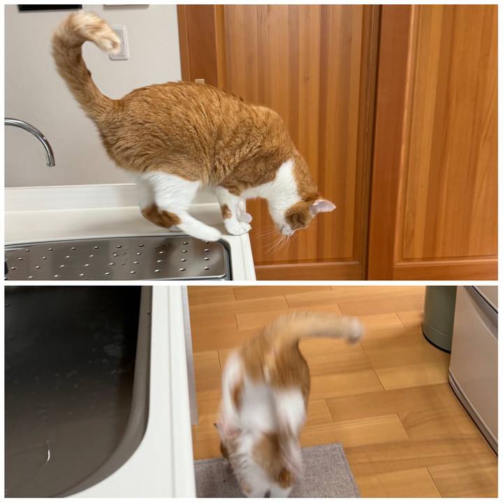 Db25a353 b4e0 4050 90d6 ff44572a5873 1764212261612