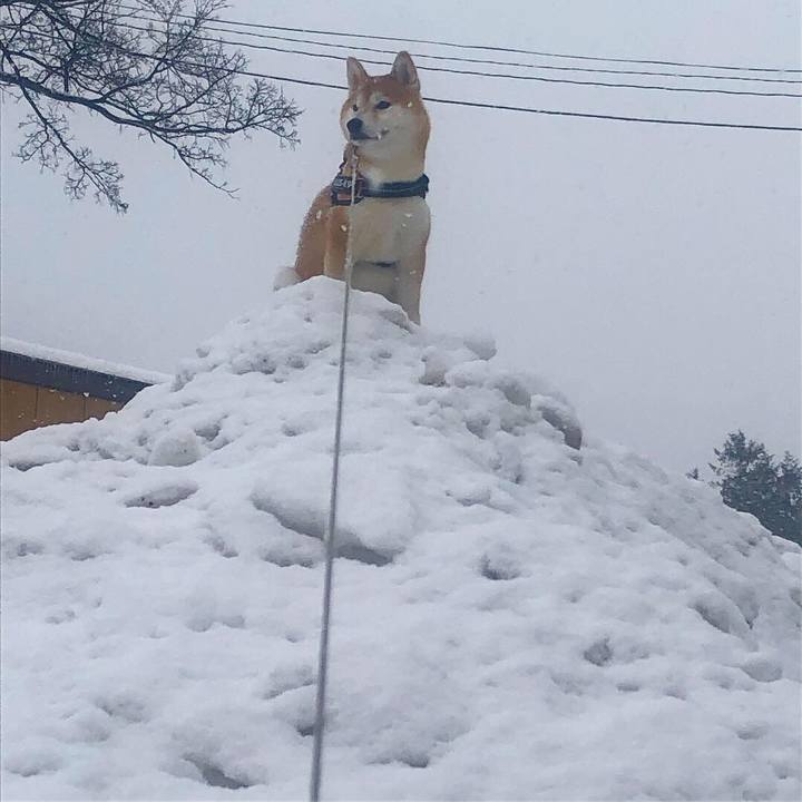 Db25b4af 6ba5 4ffd a61a b06d65041ef3 1545098616200