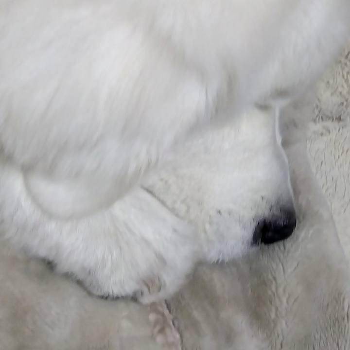 Db260d08 a9b4 4473 a1ff 8ef22d3ffeec 1674594177318