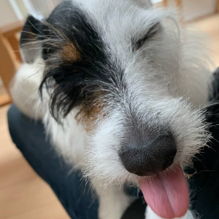 Db261f25 6abe 45a0 b26f ea3e9c103429 1589848627285