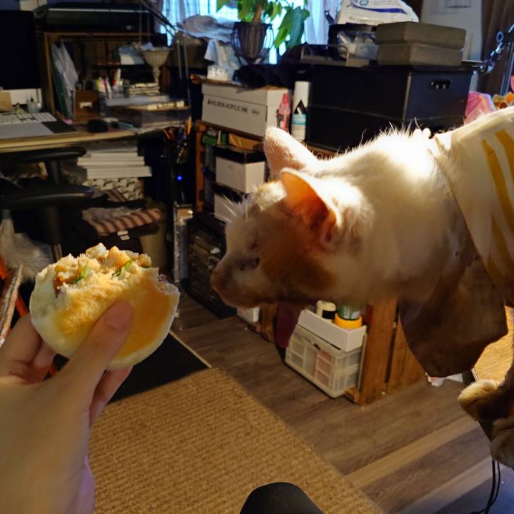 Db26285f 3f4d 4e3c b9ab 971d5f4cf5db 1759822230482