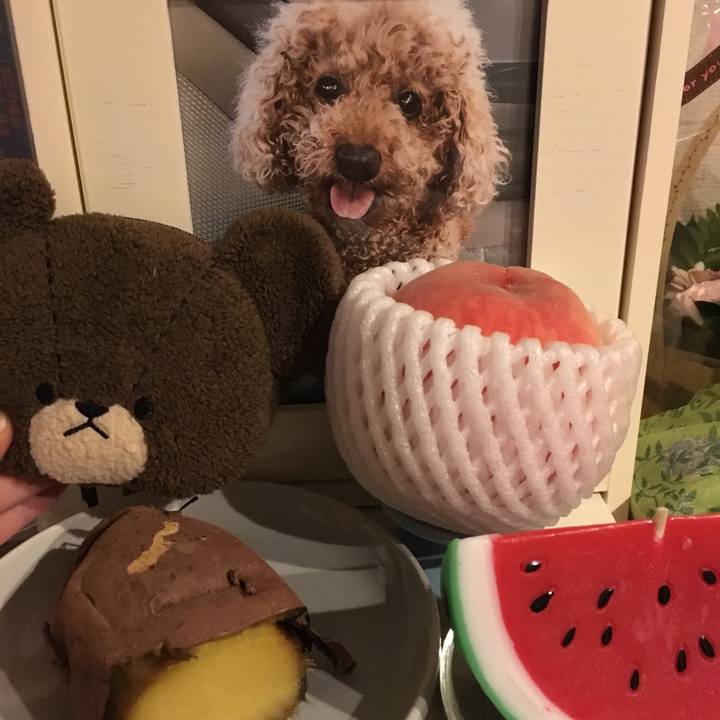 Db26a726 672d 4632 9fb0 e5cef3a8d4de 1597425473085