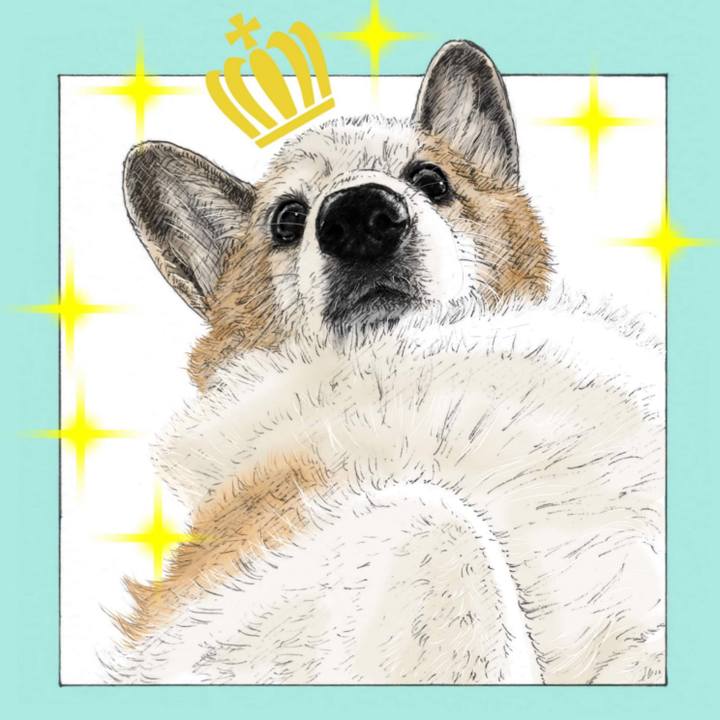 Db26b022 3226 4a16 95da c09b78e430aa 1578318234728