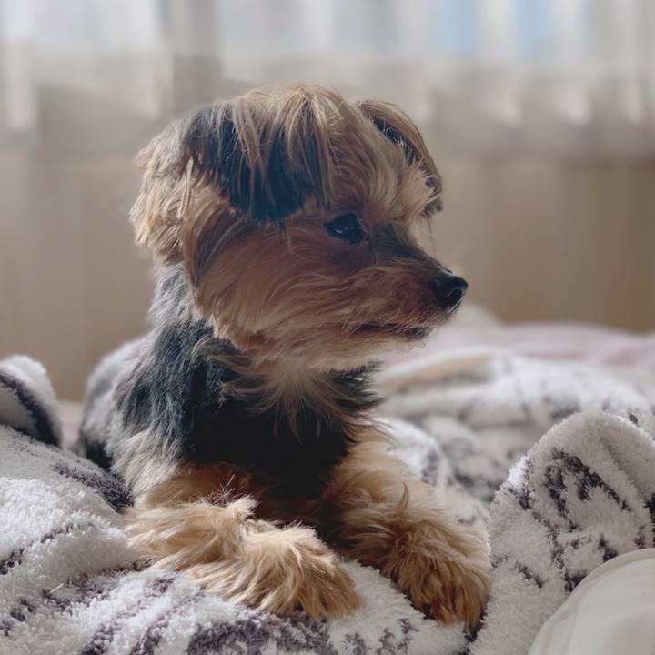 Db26bd68 e9a5 4924 8f9f c6c5d8499cbb 1608265721869